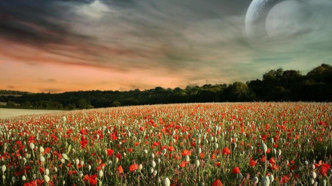 女生真正的完美身材是什么样子？